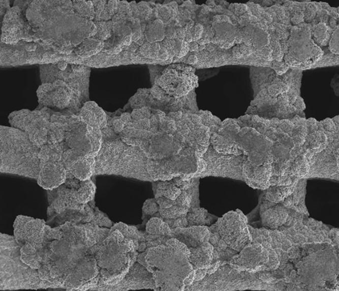 Electrodeposition of Zn onto 3D printed copper nanowire (CuNW)