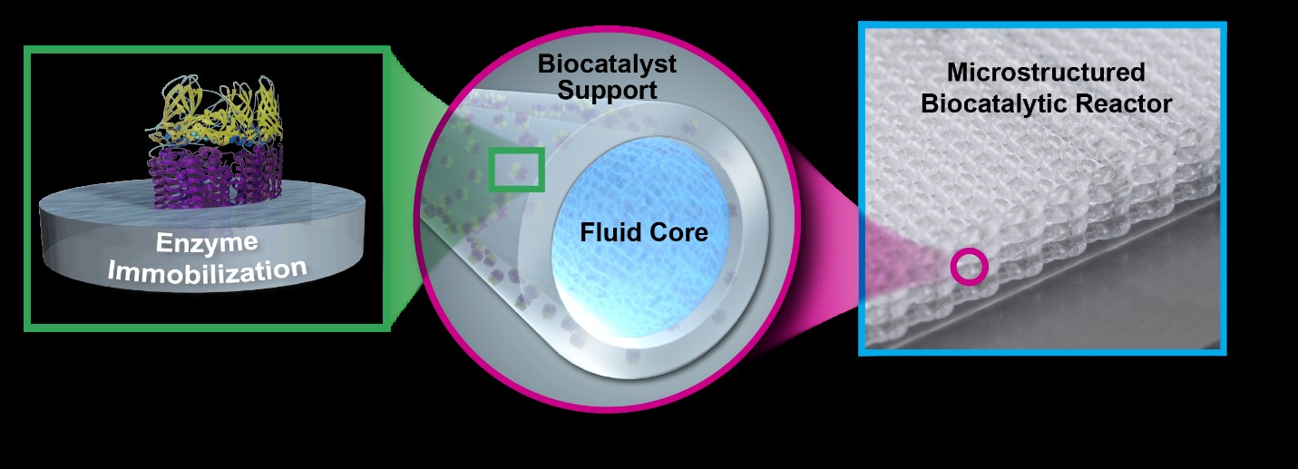 bioreactor_microstructured_polymer