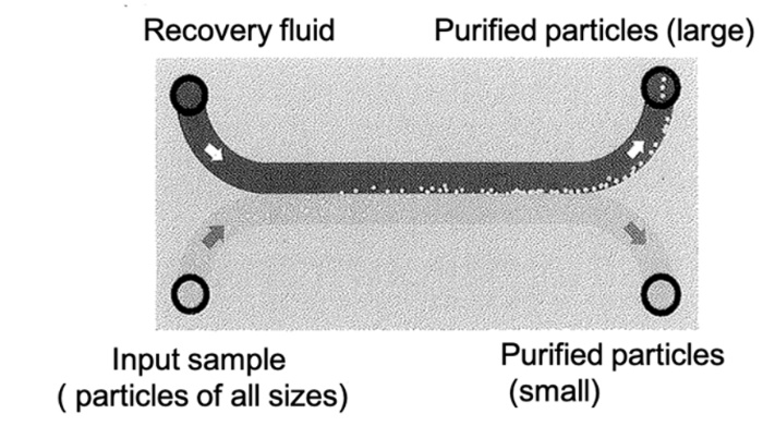 Microfluidic ultrasonic particle separator