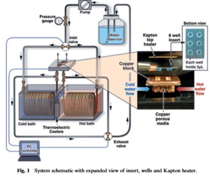 Rapid microfluidic thermal cycler