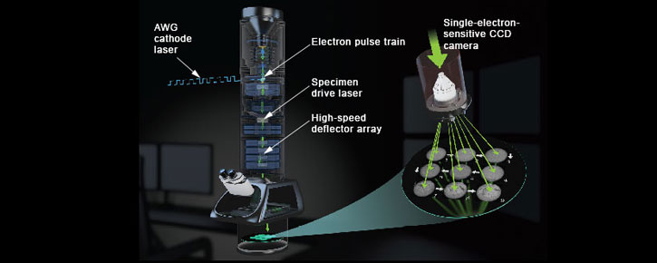 Integrated Dynamic Electron Solutions