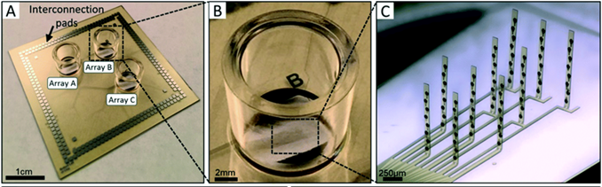 3D MEA device prior to actuation. A) A completed device. B) Close-up image of a single cell culture well. The large dark metal features at the top and bottom of each cell culture well are ground electrodes, which are all electrically shorted to each other. C) Light micrograph of a single 3DMEA post-actuation. The hinge regions are plastically deformed and allow the probes to stand upright without additional supports.