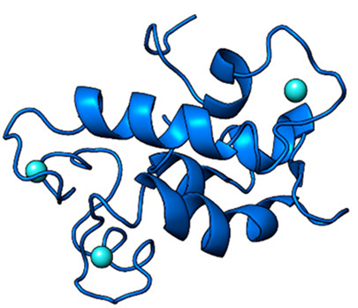 natural protein lanmodulin, LanM (blue) bound to three REE ions (cyan).