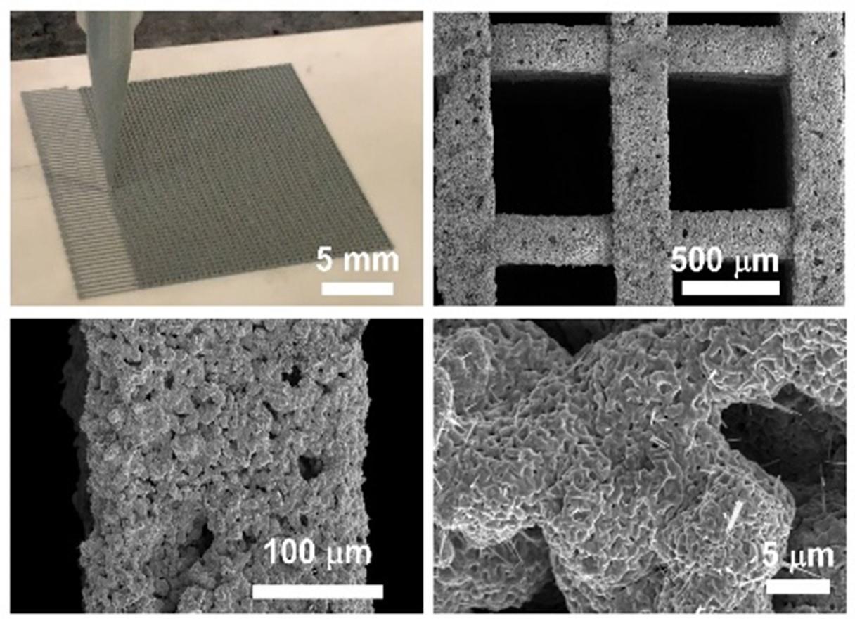 Optical and SEM images of 3D printed Zn structure and morphology