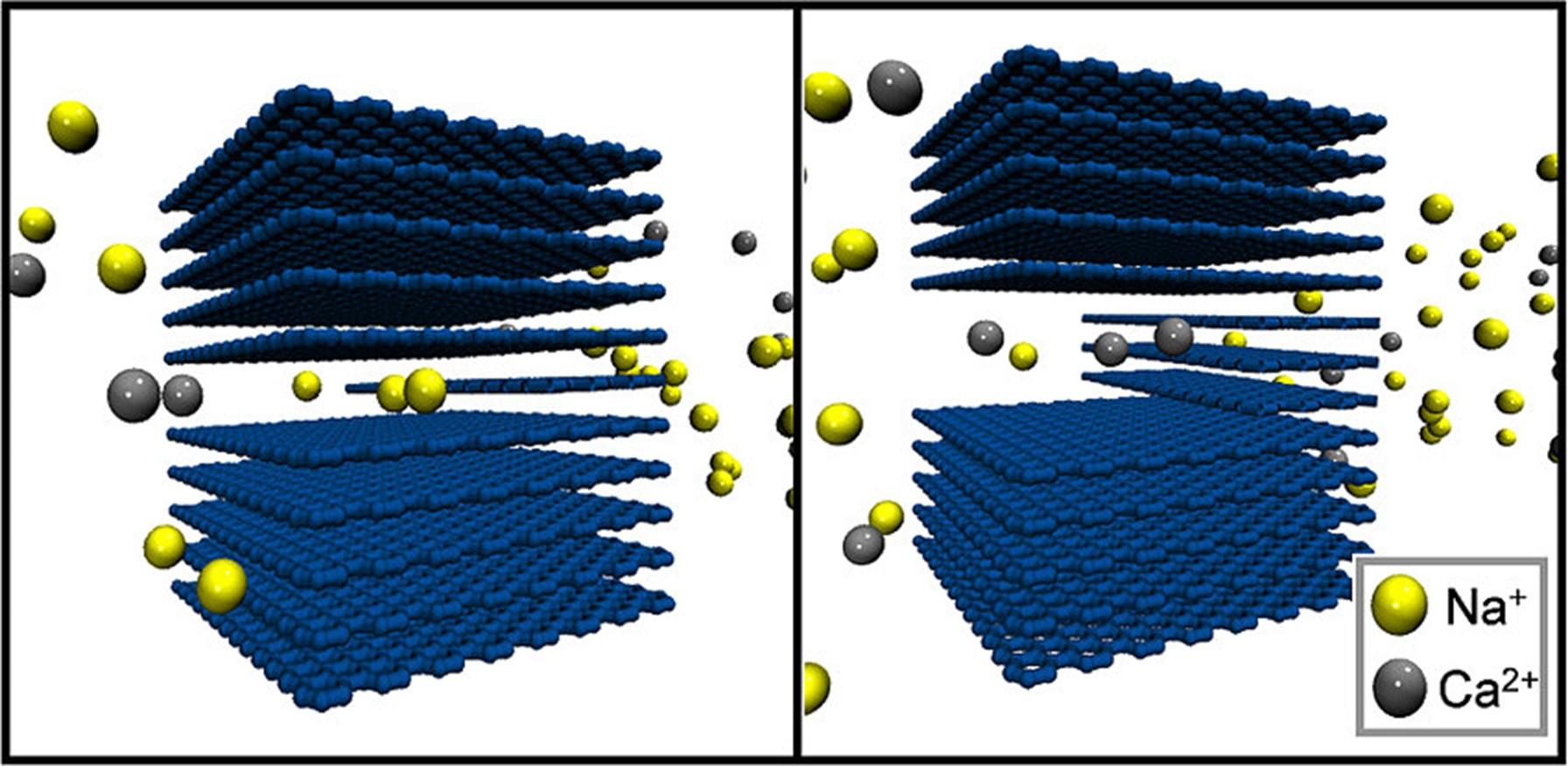Simulation of ion selectivity related to pore size in flow through electrode.