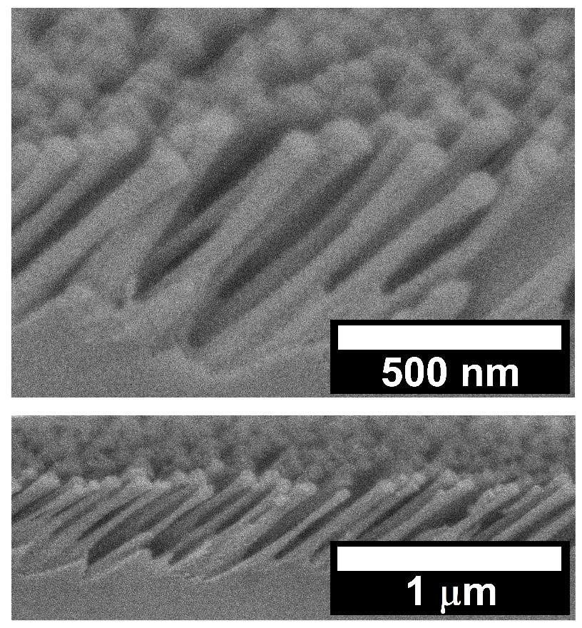 SEM image of etched metasurface with angled features