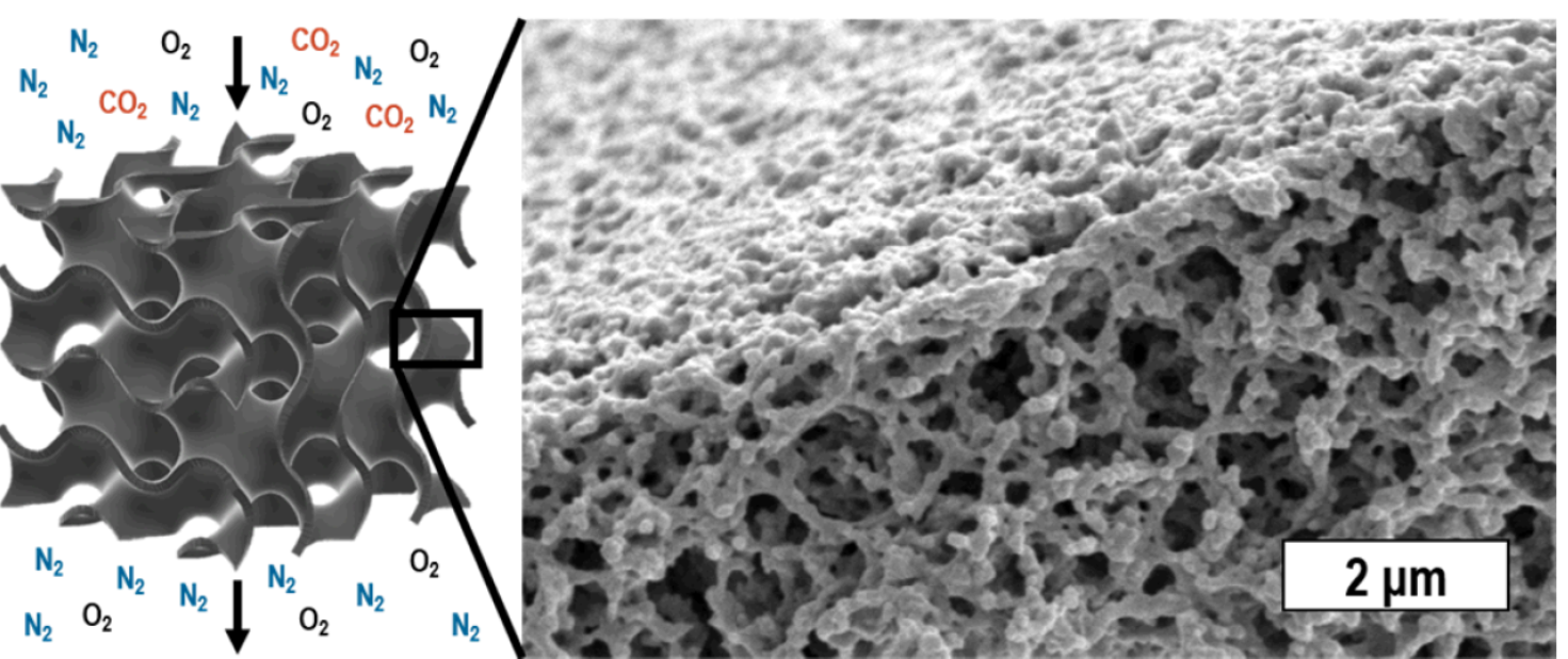 A hypothetical structure-optimized adsorbent packing with hierarchical pores and submicron features will facilitate mass transfer to adsorption sites. SEM image of porous fluoropolymer