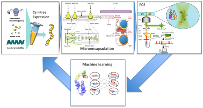 Automated High Throughput Screening Platform