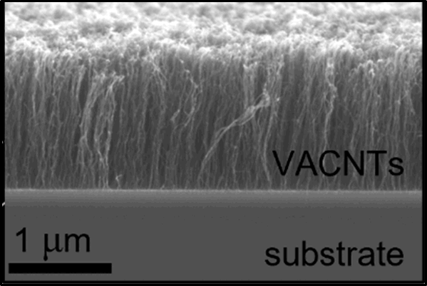 Cross-section SEM image of an as-made VACNT forest on Si