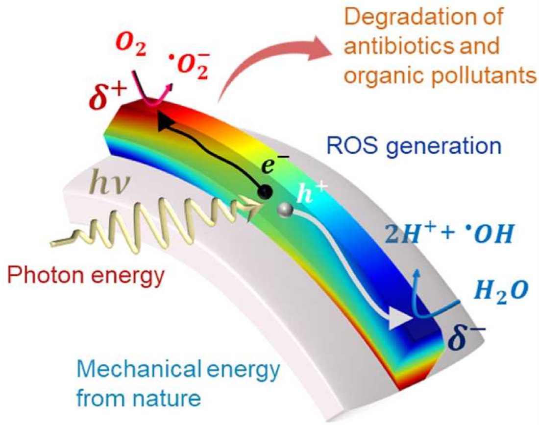 Kirigami photo-piezo catalyst for degradation of antibiotics and organic pollutants