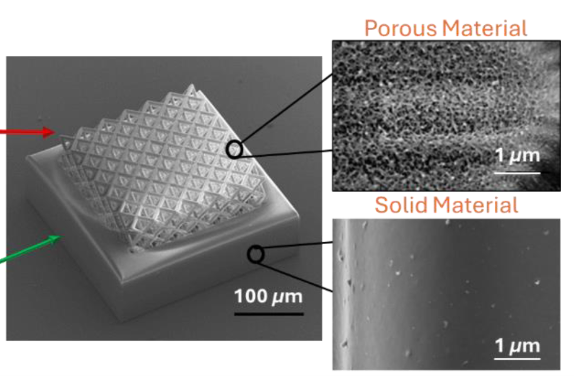 SEM images of printed 3D structure using dual wavelength 2PP system