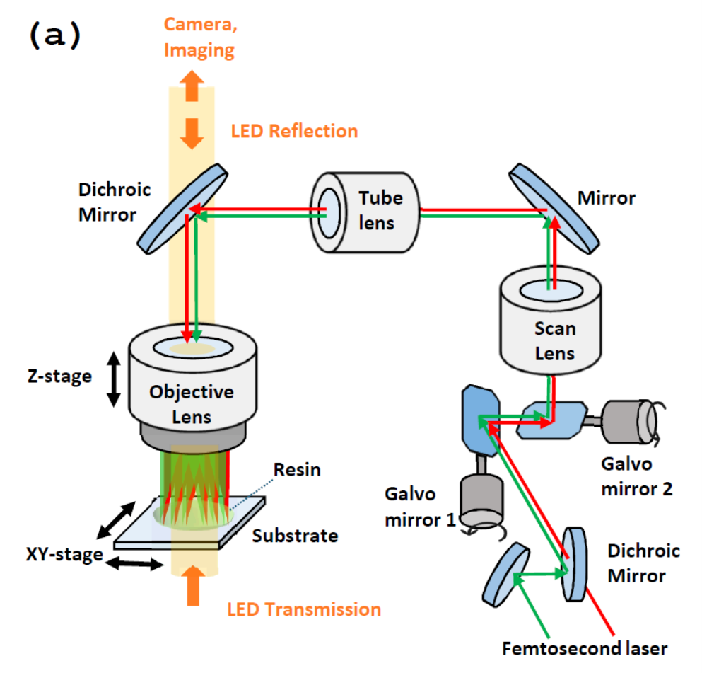 Multi-wavelength, 2PP Optical system schematic diagram