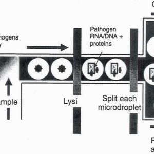 figure_of_system.png figure_of_system