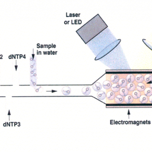 Chip-based sequencing