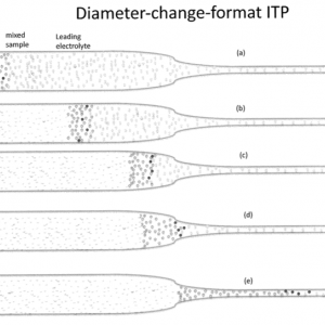 isotachophoresis system