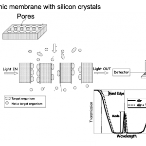 Multiplexed photonic membranes