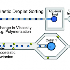Passive chip-based droplet sorting