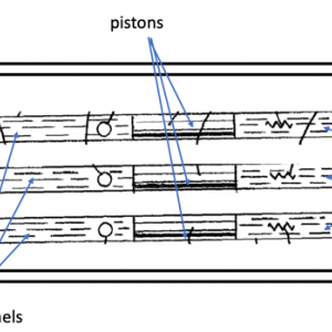Pumping and valving for microfluidic