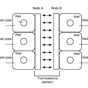 Solid-state node-based rapid thermal cycler