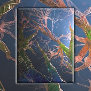 plants Lattice