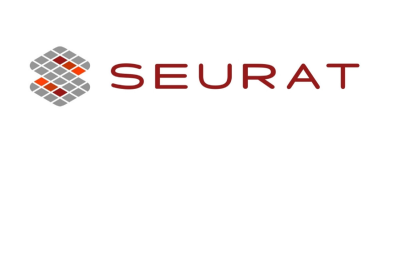 Seurat Technologies logo