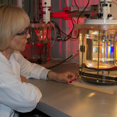 Natalia Zaitseva examines a single crystal growing in a solution-growth crystallizer developed for production of stilbene crystals for fast neutron detection