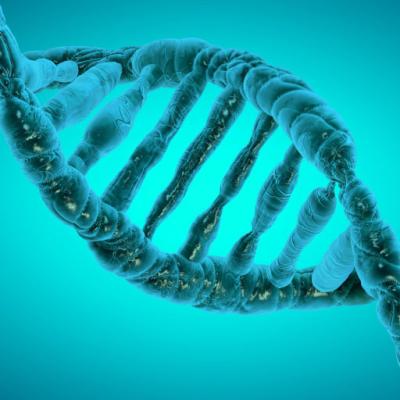 DNA