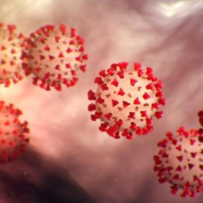 Corona virus