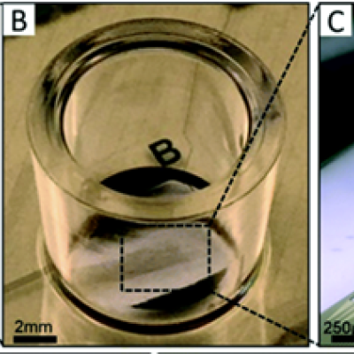 3D MEA device prior to actuation. A) A completed device. B) Close-up image of a single cell culture well. The large dark metal features at the top and bottom of each cell culture well are ground electrodes, which are all electrically shorted to each other. C) Light micrograph of a single 3DMEA post-actuation. The hinge regions are plastically deformed and allow the probes to stand upright without additional supports.