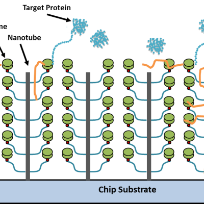 High Density Protein Translation System: Nanotubes used to greatly increase the density of ribosomes on a surface by adding a third dimension (height) to enable multiple ribosomal attachment sites.