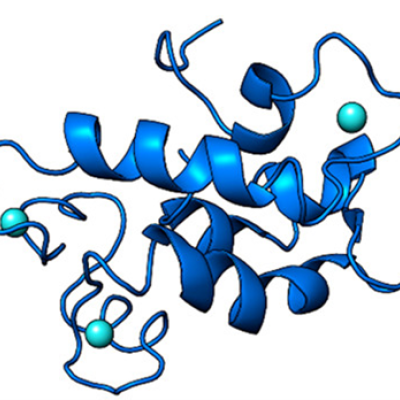 natural protein lanmodulin, LanM (blue) bound to three REE ions (cyan).