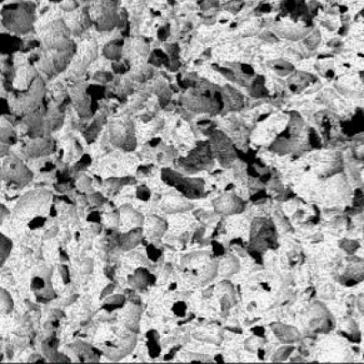 SEM image showing internal porosity of DIW printed parts