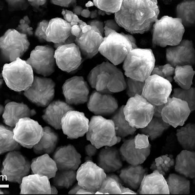 SEM image of iron-sulfide spheres