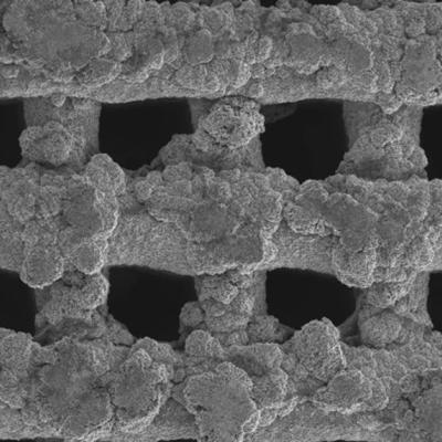 Electrodeposition of Zn onto 3D printed copper nanowire (CuNW)