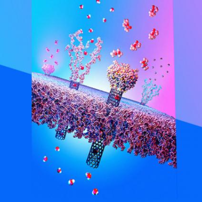 Second skin smart protection mechanism of responsive nanotube membranes against environmental threats