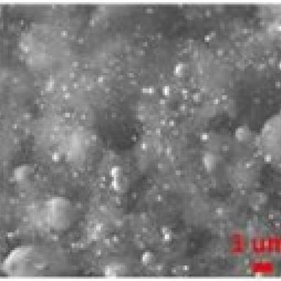 SEM image showing the morphology of a 3D printed porous carbon substrate with well distributed cobalt particles in cross section