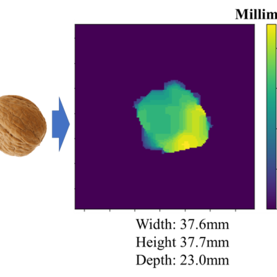multi-spectral nondestructive characterization of in-shell tree nuts