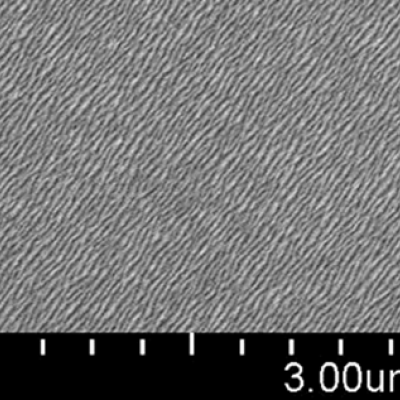 SEM micrographs of short carbon fiber fabric.