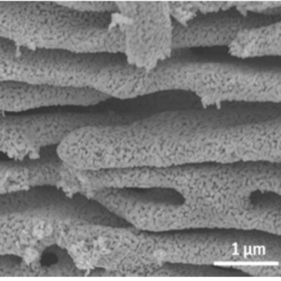 SEM image of nanoporous Cu catalyst material