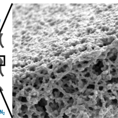 A hypothetical structure-optimized adsorbent packing with hierarchical pores and submicron features will facilitate mass transfer to adsorption sites. SEM image of porous fluoropolymer