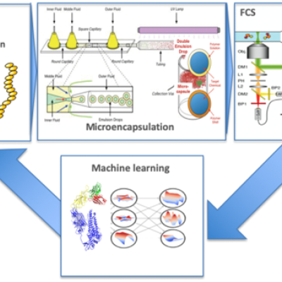 Automated High Throughput Screening Platform