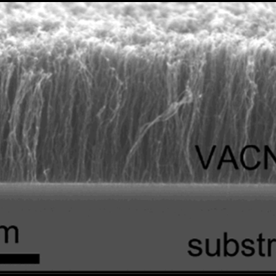 Cross-section SEM image of an as-made VACNT forest on Si