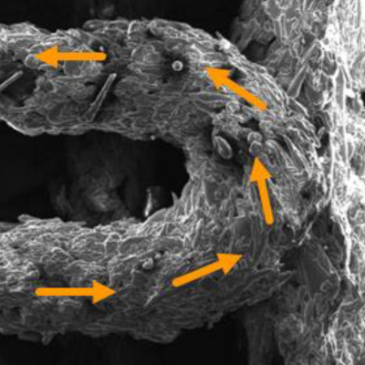High resolution SEM image of a extruded DIW filament with magnetically active silicone based anisotropic microparticle fillers added to the DIW ink.